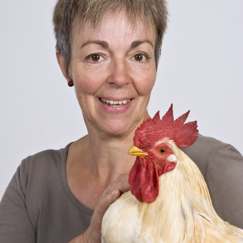 _DSC2389_klein_quadrat