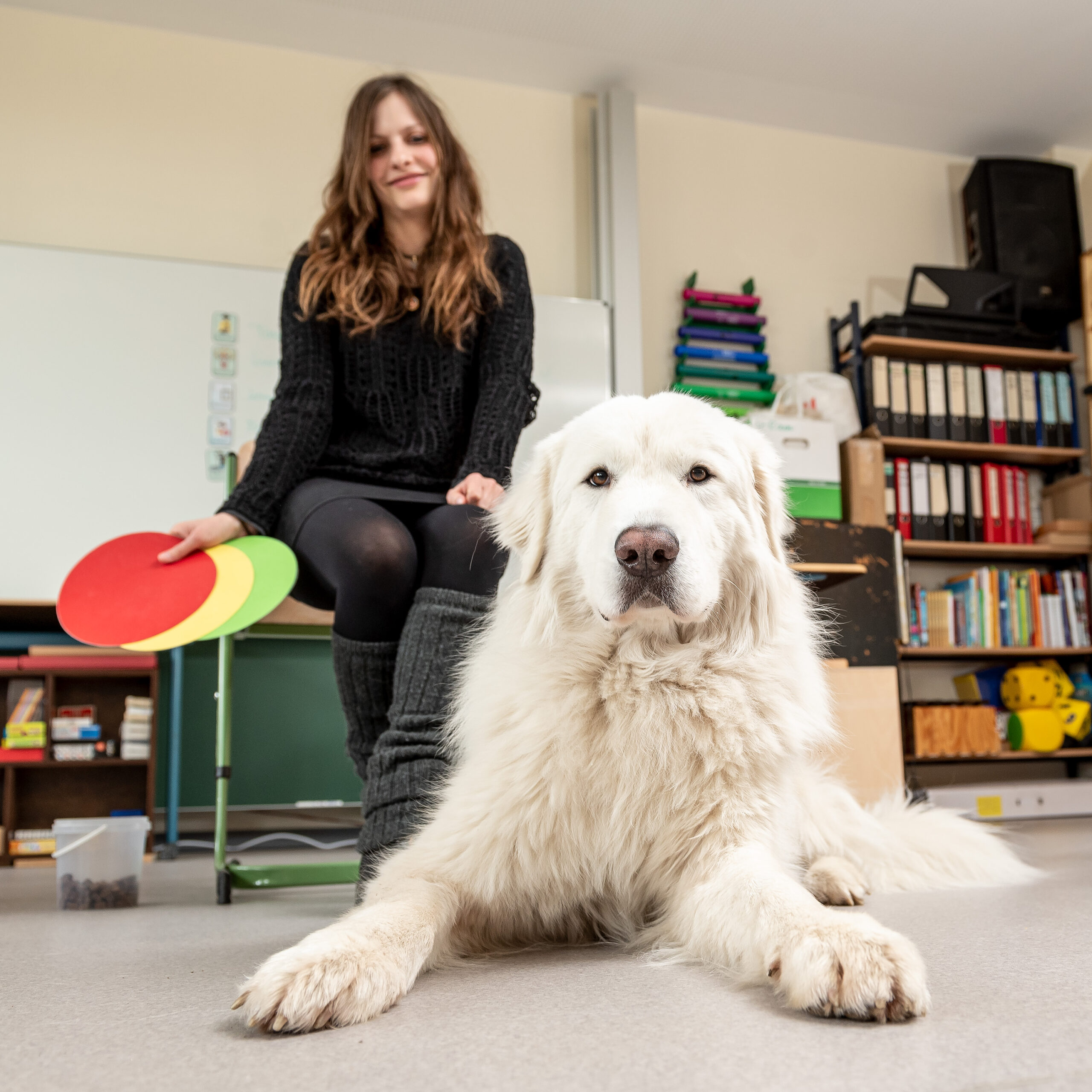 GEOS_CarolinHansen_9115